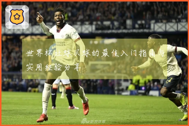 世界杯让球买球的最佳入门指南与实用经验分享