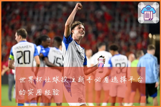 世界杯让球投注新手必看选择平台的实用经验