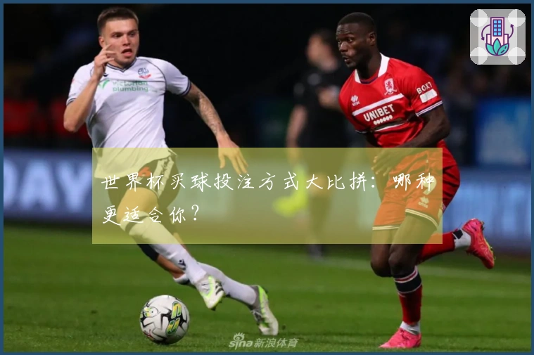 世界杯买球投注方式大比拼：哪种更适合你？