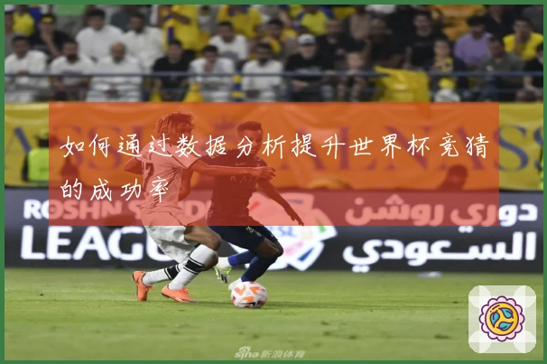 如何通过数据分析提升世界杯竞猜的成功率
