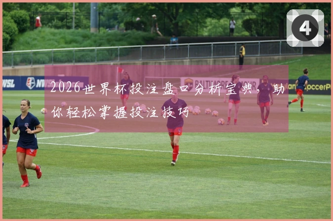 2026世界杯投注盘口分析宝典，助你轻松掌握投注技巧