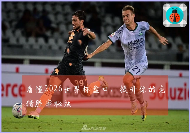 看懂2026世界杯盘口，提升你的竞猜胜率秘诀