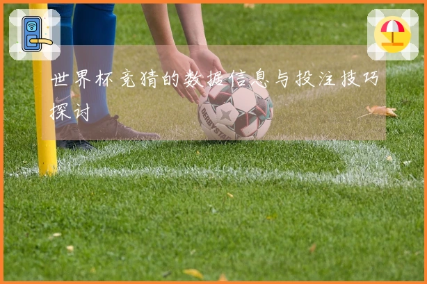 世界杯竞猜的数据信息与投注技巧探讨
