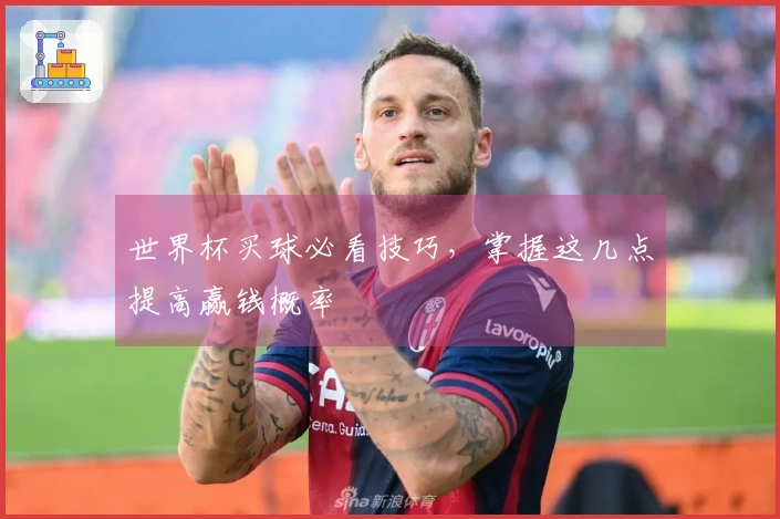 世界杯买球必看技巧，掌握这几点提高赢钱概率