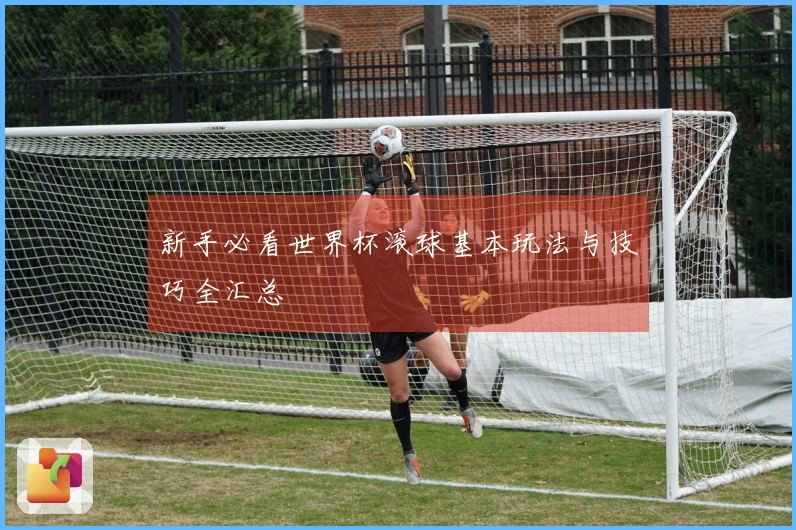 新手必看世界杯滚球基本玩法与技巧全汇总
