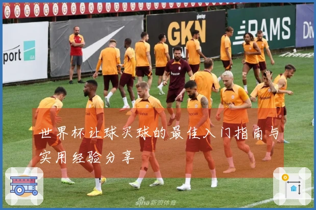 世界杯让球买球的最佳入门指南与实用经验分享