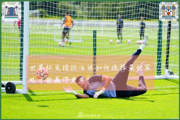 世界杯竞猜投注该如何选择最优策略才能赢得更多？