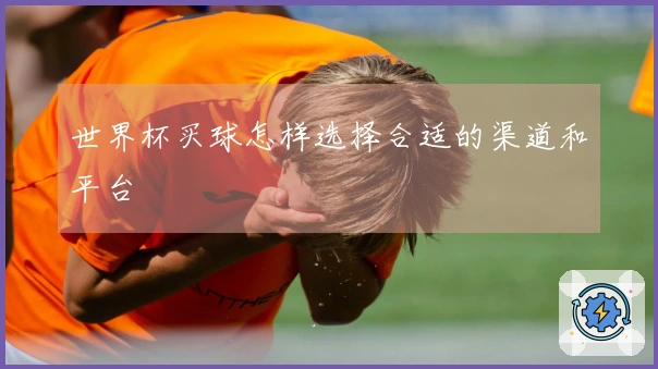 世界杯买球怎样选择合适的渠道和平台